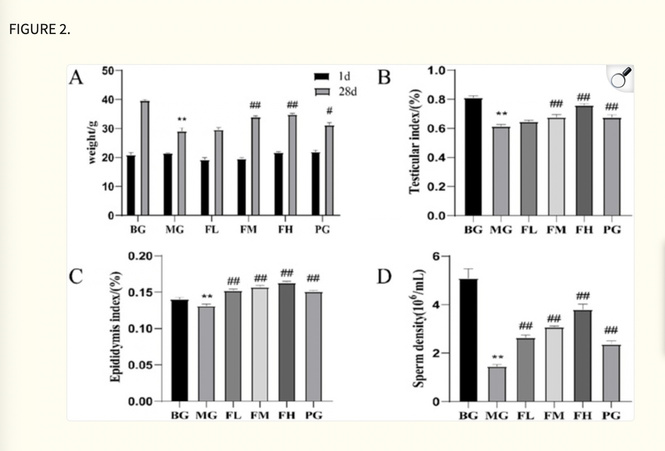 Cynomorium Songaricum HPG research