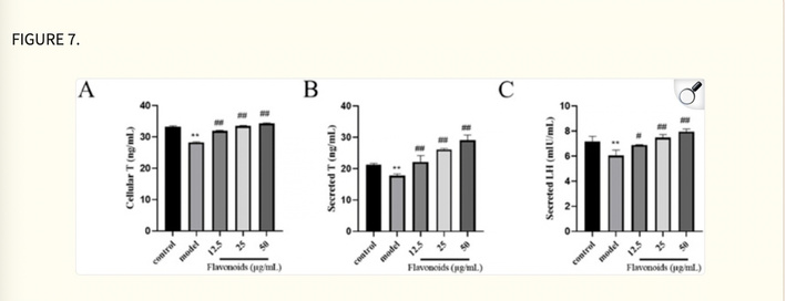 Cynomorium Songaricum testosterone research
