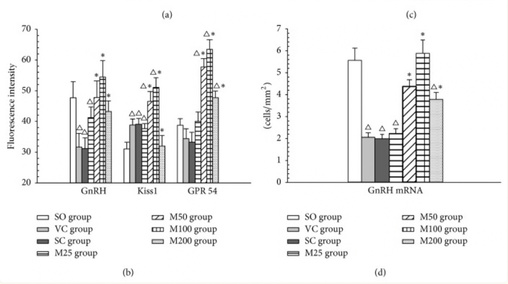 Morinda HPG GnRH research