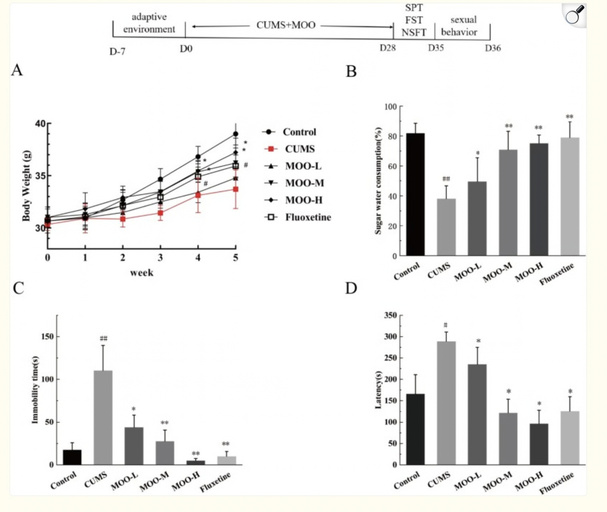 Morinda stress research